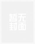 明朝大博弈（出版书）